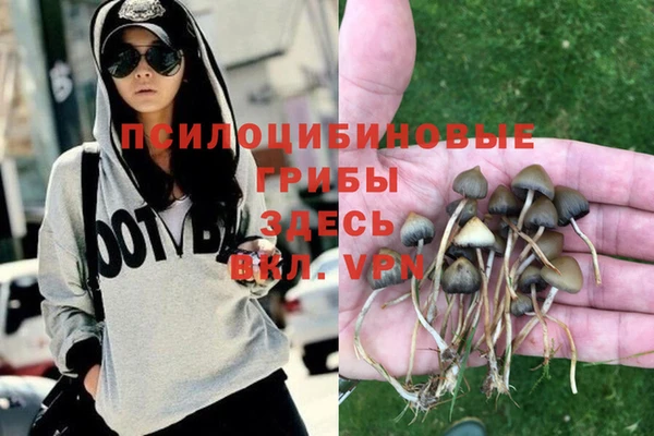 прущие крисы Саяногорск