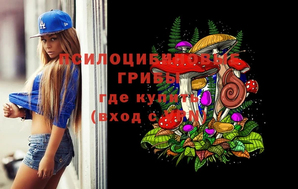 круглые Алзамай