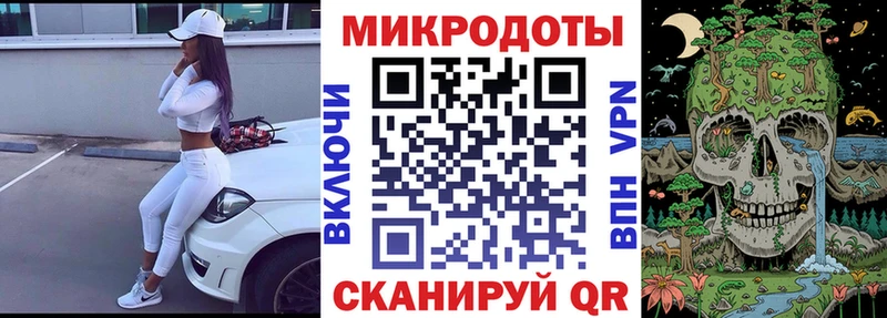 Псилоцибиновые грибы Psilocybe  это как зайти  Камешково 